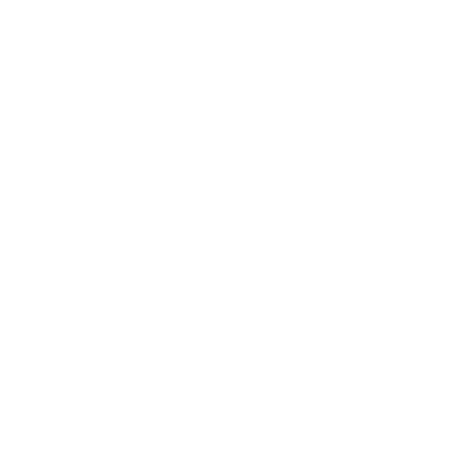 TJ Brothers
