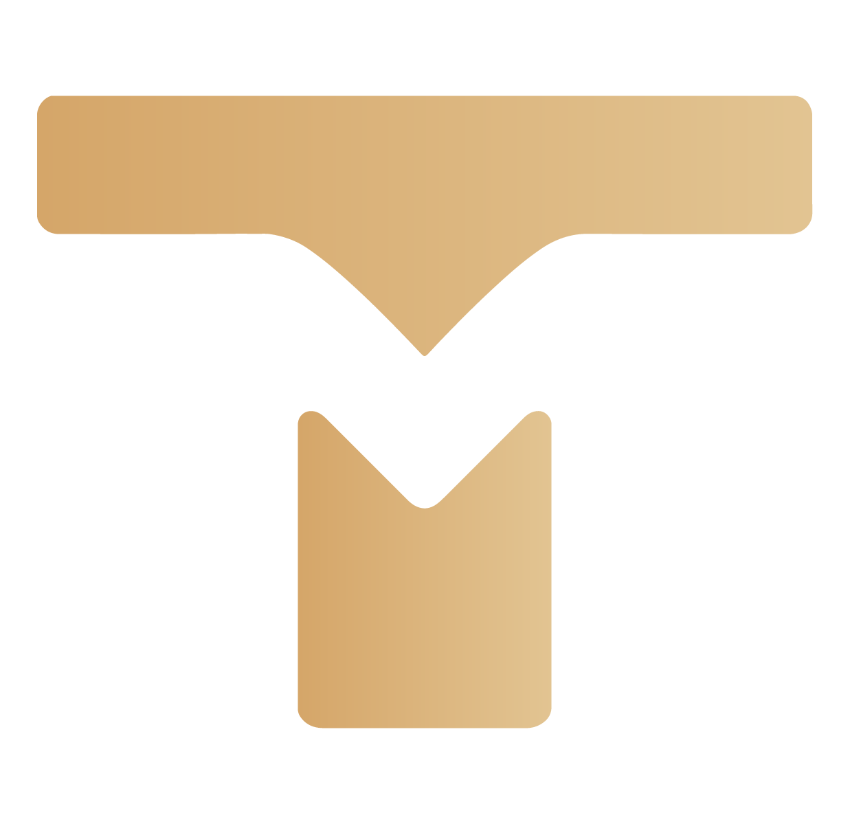 MR.T logo
